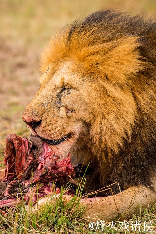 卢库米对小孔塞桑的出格举动:先抱起再重摔倒地 卢库米对小孔塞桑的出格举动:先抱起再重摔倒地